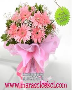 pembe gerbera